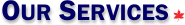 Our Services